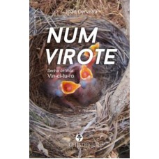 Num Virote Num Virote