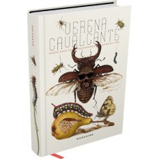 Inventário de predadores domésticos