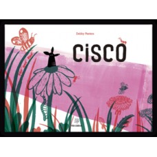 Cisco Cisco