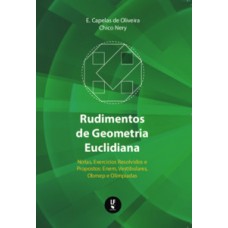 Rudimentos de geometria euclidiana