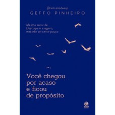 Você chegou por acaso e ficou de propósito