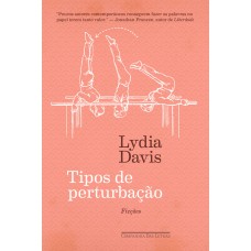 Tipos de perturbação Tipos de perturbação