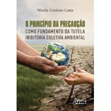 O princípio da precaução como fundamento da tutela inibitória coletiva ambiental