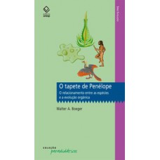O tapete de penélope