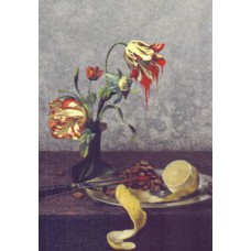 Max havelaar