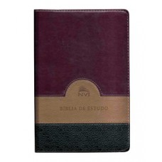 Bíblia de estudo NVI - Verde, bege e vinho - Capa luxo