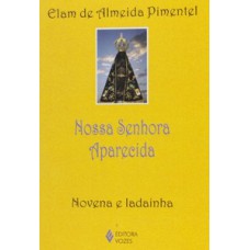 Nossa senhora aparecida