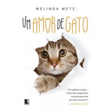 Um amor de gato