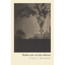 Tenho um cavalo alfaraz Tenho um cavalo alfaraz