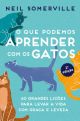 O que podemos aprender com os gatos