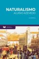 Fundamentos da Literatura: Naturalismo - O Cortiço