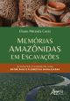 Memórias amazônidas em escavações