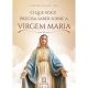 O que voce precisa saber sobre a virgem maria