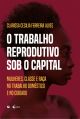 O trabalho reprodutivo sob o capital