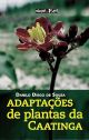 Adaptações de Plantas da Caatinga