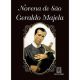 Novena de sao geraldo majela