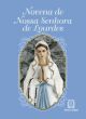 Novena de nossa senhora de lourdes