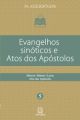 Evangelhos sinoticos e atos dos apostolos