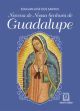 Novena de nossa senhora de guadalupe