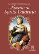 Novena de santa catarina