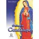 O milagre de guadalupe