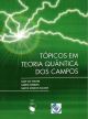 Tópicos em teoria quântica dos campos