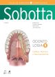 Sobotta Atlas de Anatomia - Odontologia | Cabeça, pescoço e neuroanatomia